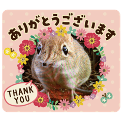 [LINEスタンプ] ひよこかわいい動物