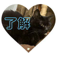 [LINEスタンプ] さくちゃんのスタンプ☆