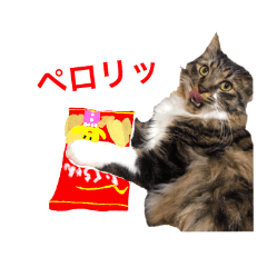 [LINEスタンプ] 福ちゃんの挨拶⭐︎＃1
