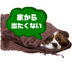 [LINEスタンプ] イッヌスタンプ④