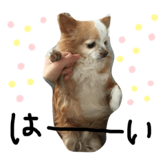 [LINEスタンプ] 愛しのベリー