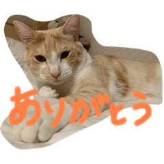 [LINEスタンプ] るったん - Luana
