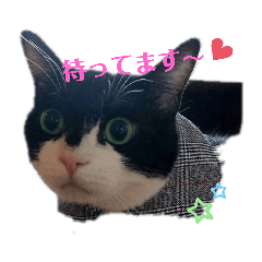 [LINEスタンプ] ま～