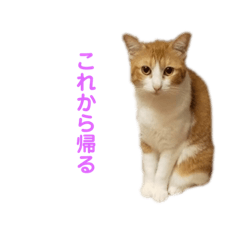 [LINEスタンプ] ボギーとしょうきちともも