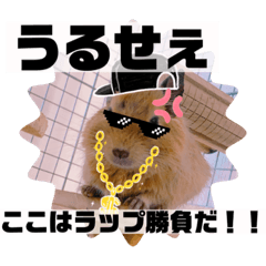 [LINEスタンプ] デグデグした日常会話