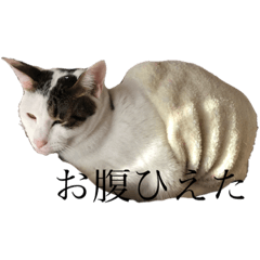 [LINEスタンプ] ビアンコネロマローネ3
