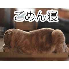 [LINEスタンプ] トトやんfamily STAMP2