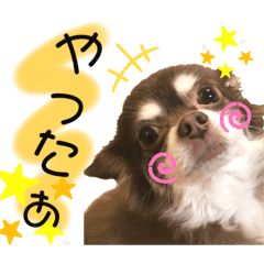 [LINEスタンプ] ソラさんすたんぷ2