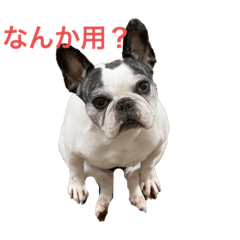 [LINEスタンプ] おーべーちゃん