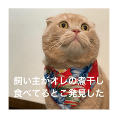 [LINEスタンプ] トトやん family stamp 3