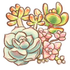 [LINEスタンプ] ほんわか多肉植物（色鉛筆スケッチ風）