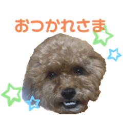 [LINEスタンプ] キキ 日常スタンプ2