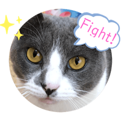 [LINEスタンプ] るちる2