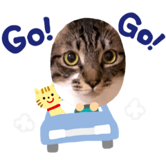 [LINEスタンプ] 猫時々…犬