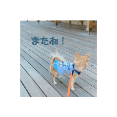 [LINEスタンプ] 天心スタンプ。