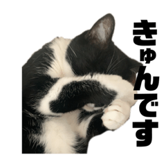 [LINEスタンプ] 俺がマルだ