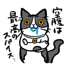 [LINEスタンプ] ハチワレ猫大福