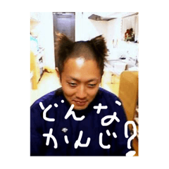 [LINEスタンプ] どんずすたんぷ