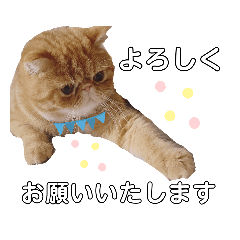 [LINEスタンプ] sの1日part6