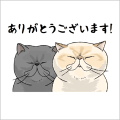 [LINEスタンプ] マンボ、タンゴの日常使いスタンプ