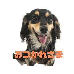 [LINEスタンプ] チワックスのスタンプ2