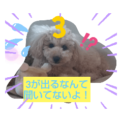 [LINEスタンプ] モコモコズ 第3弾