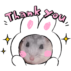 [LINEスタンプ] ハムちゃんのクゥちゃん コロちゃん