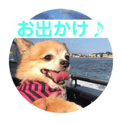 [LINEスタンプ] ちわ4