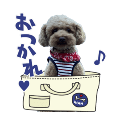[LINEスタンプ] うちのぷー助スタンプ