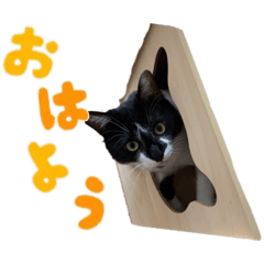 [LINEスタンプ] ぶちゃとなな