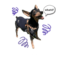 [LINEスタンプ] cocogram