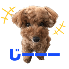 [LINEスタンプ] 愛しのチーPart2