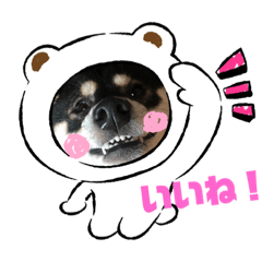 [LINEスタンプ] 黒柴むぎ2