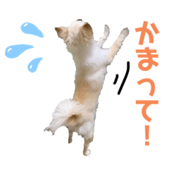 [LINEスタンプ] マイキーと愉快な仲間たち