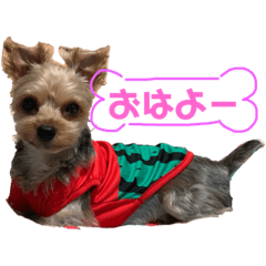 [LINEスタンプ] Kozu806