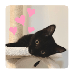 [LINEスタンプ] おとstamps
