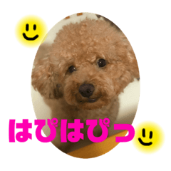 [LINEスタンプ] ぽんたくん❤