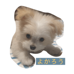 [LINEスタンプ] テン様、現る