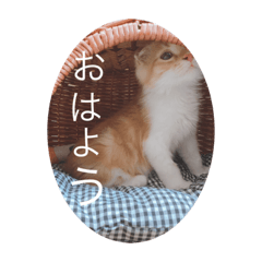 [LINEスタンプ] サブロー♡
