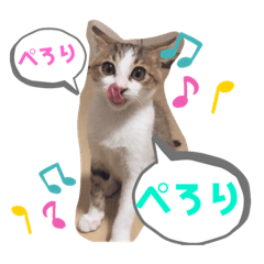 [LINEスタンプ] しゃるまんとりん