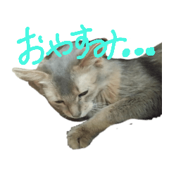 [LINEスタンプ] 愛猫ルナちゃんスタンプ