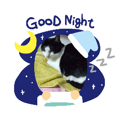 [LINEスタンプ] 仲良しキャットファミリー14