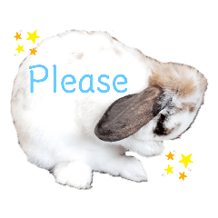 [LINEスタンプ] アリスうさぎ毎日使える！40個スタンプ
