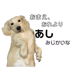 [LINEスタンプ] ほくほくのイッヌ 2