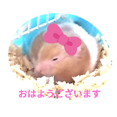 [LINEスタンプ] 福くんスタンプVer．2