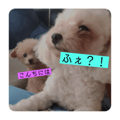 [LINEスタンプ] STOK