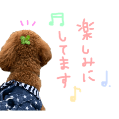 [LINEスタンプ] 小太郎さん③