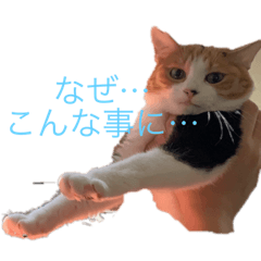 [LINEスタンプ] コハクムギ4