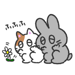 [LINEスタンプ] うさきち と にゃきち の にちじょう