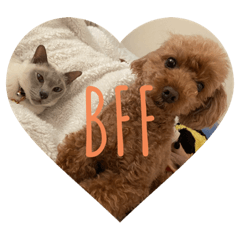 [LINEスタンプ] ウチの犬とか猫とかのスタンプ